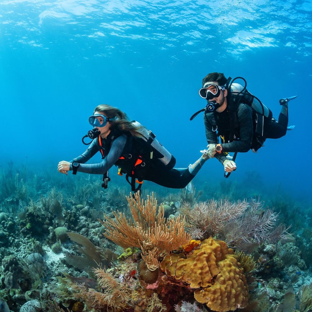 Dive bag : Adventurer Mesh Duffel | AQUALUNG ® – Aqualung
