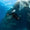 ICELAND - Men’s Dive Wetsuit 7mm